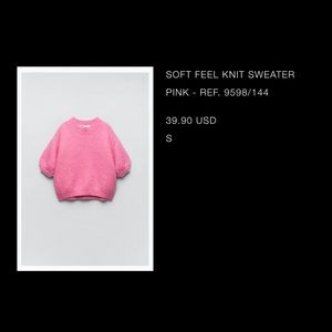 Pink Zara Sweater